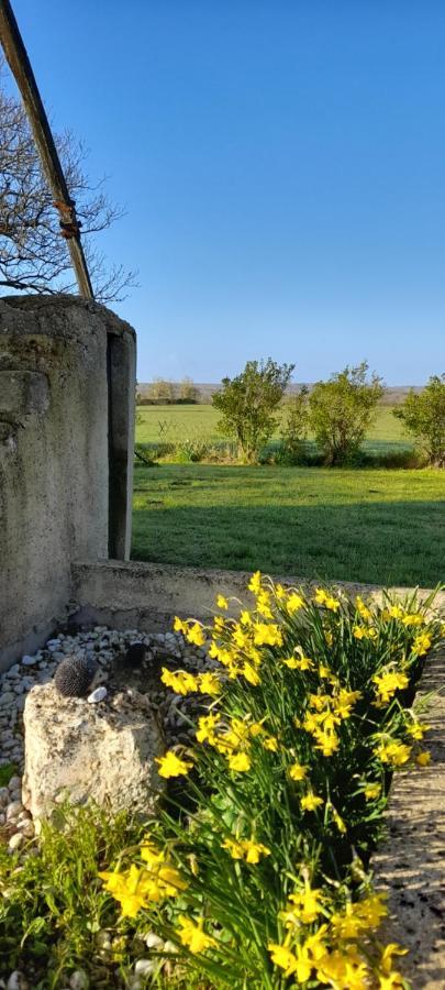 فيلا Moulin A Vent Le Champ Du Trail Saint-Cyr-des-Gats المظهر الخارجي الصورة