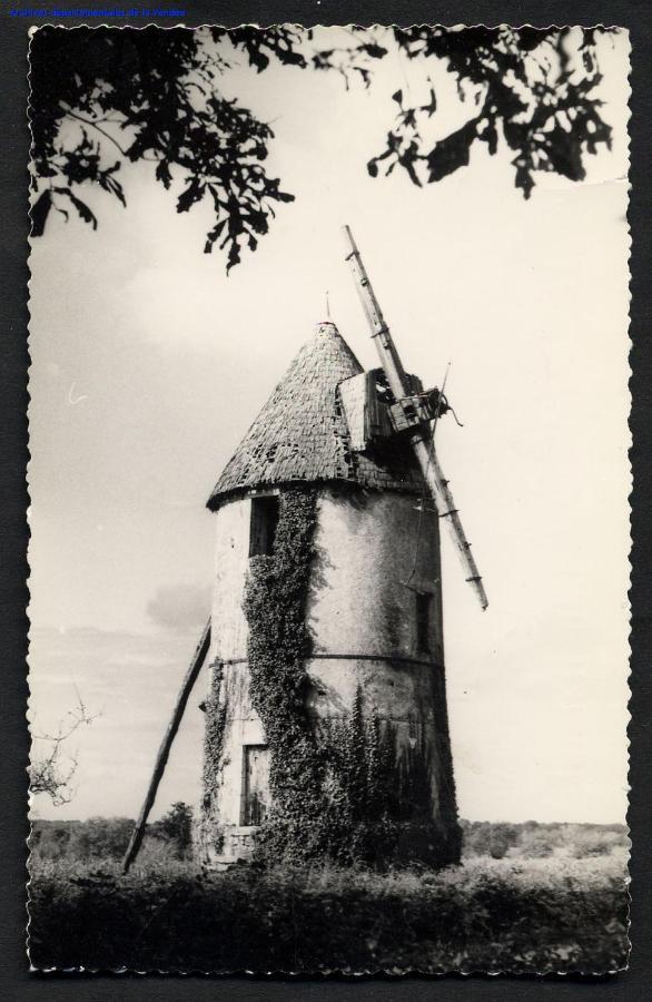 فيلا Moulin A Vent Le Champ Du Trail Saint-Cyr-des-Gats المظهر الخارجي الصورة