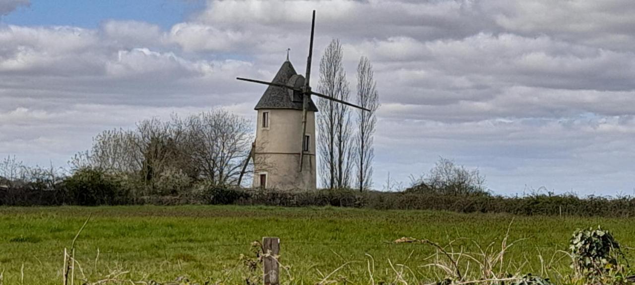 فيلا Moulin A Vent Le Champ Du Trail Saint-Cyr-des-Gats المظهر الخارجي الصورة